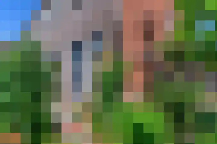 Bloemstraat 7 Ossenzijl thumbnail 6