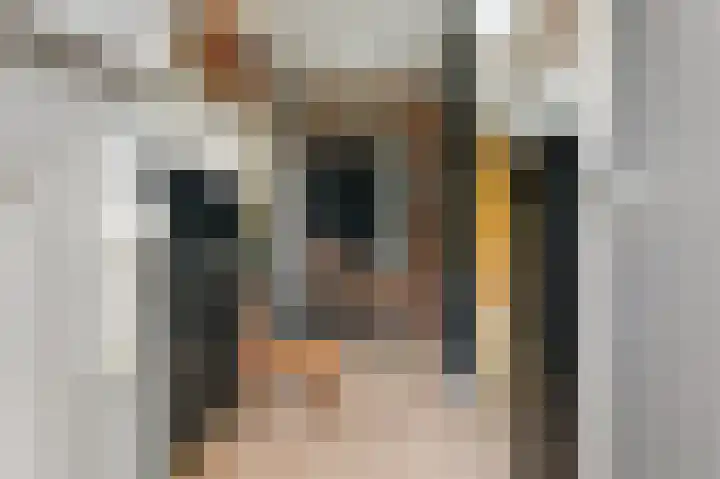 Bloemstraat 7 Ossenzijl thumbnail 7