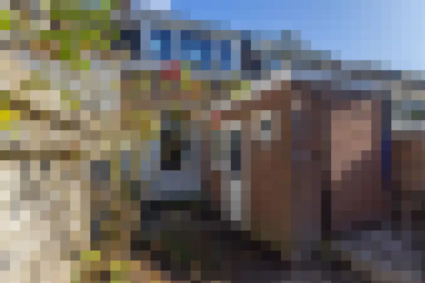 Bloemstraat 75 Utrecht thumbnail 22