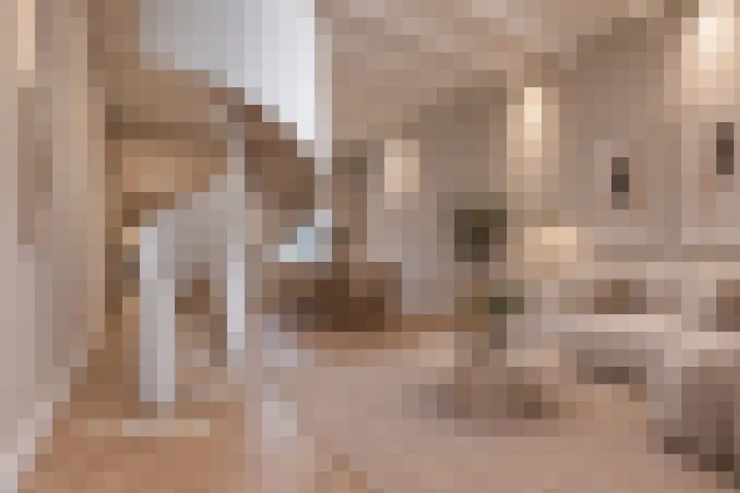 Bloemstraat 75 Utrecht thumbnail 4