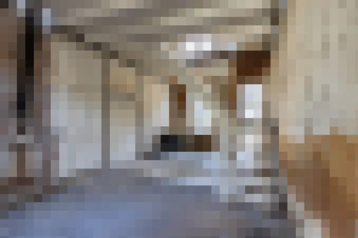 Bloemstraat 75 Utrecht thumbnail 7