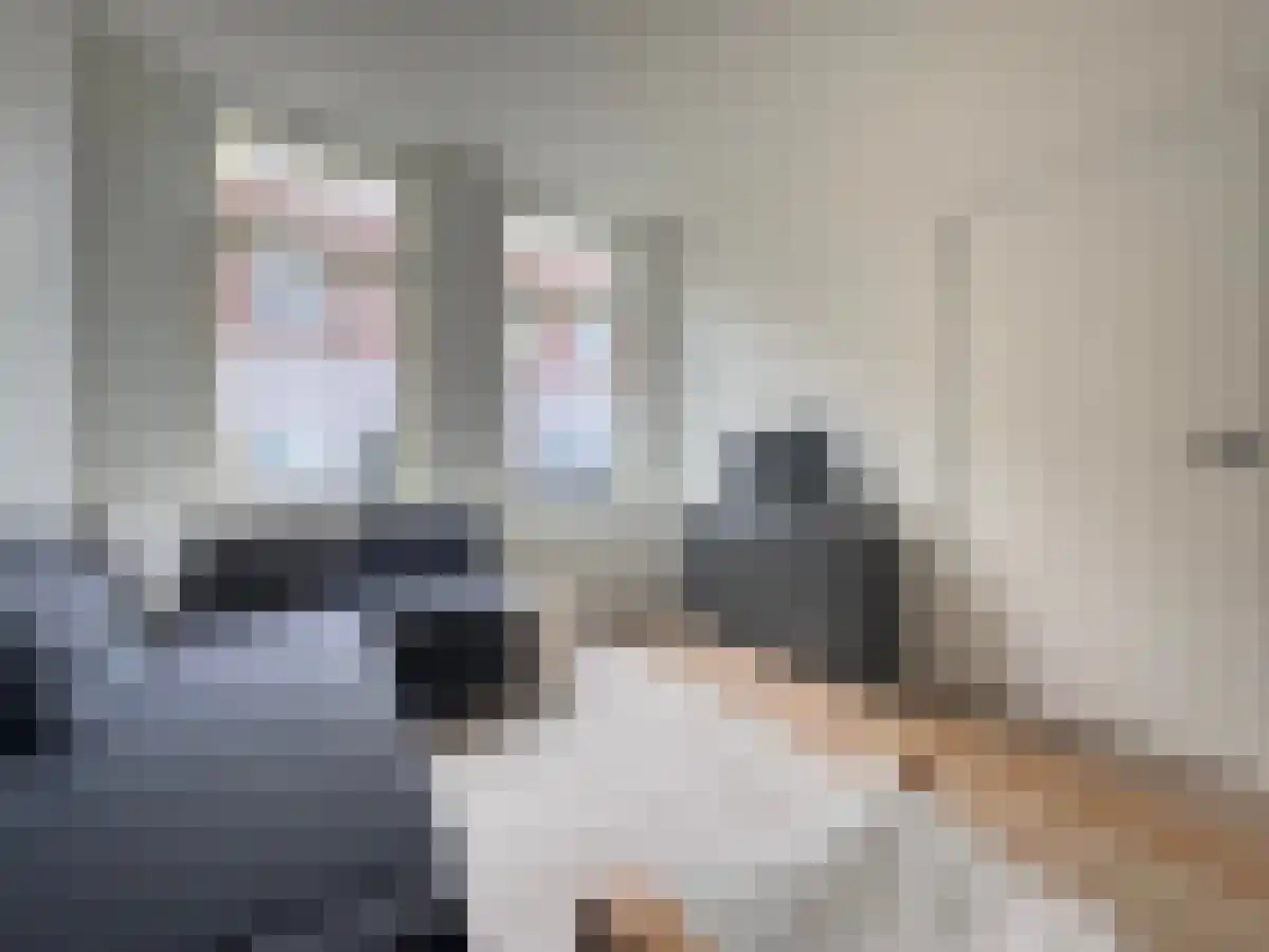 Bloemstraat 8 Utrecht thumbnail 6