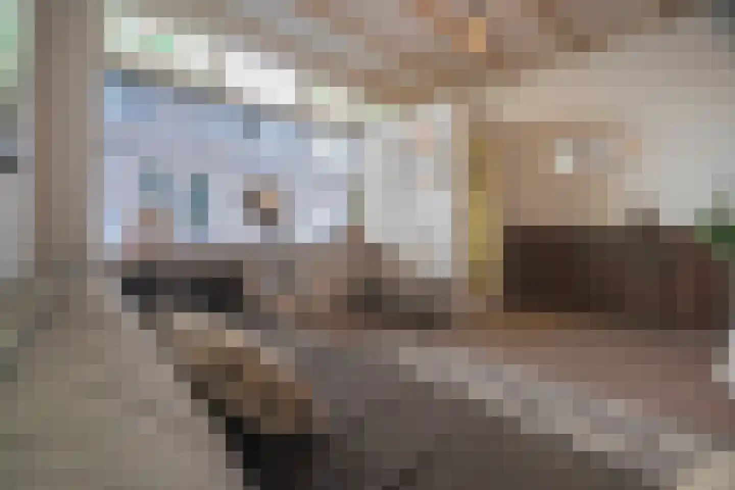 Bloemstraat 85 Arnhem thumbnail 11