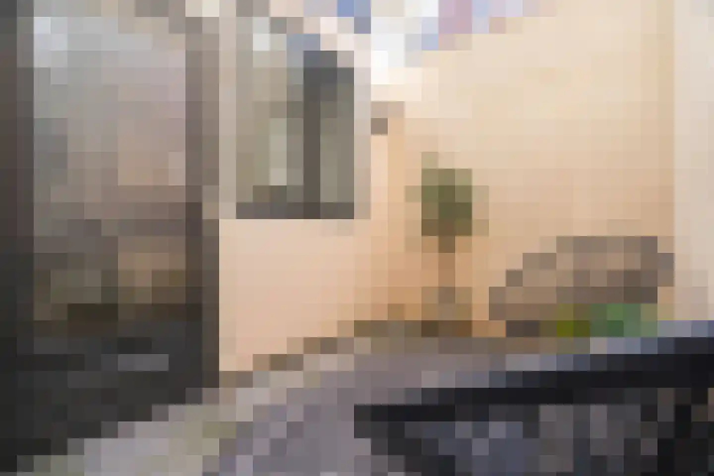 Bloemstraat 85 Arnhem thumbnail 23
