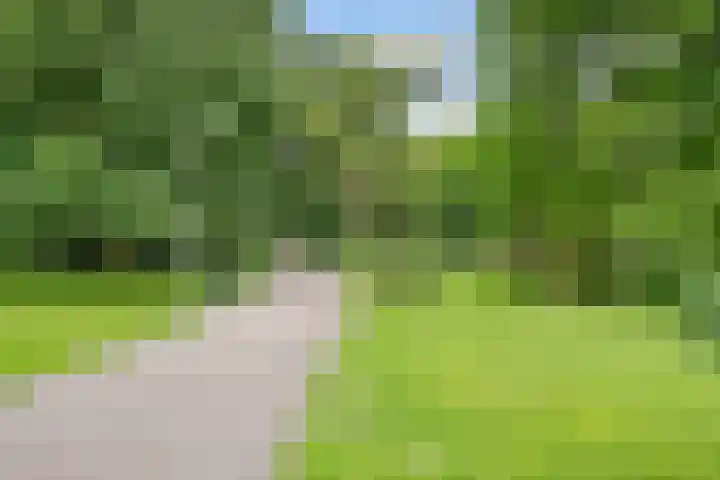 Bloemstraat 85 Utrecht thumbnail 43