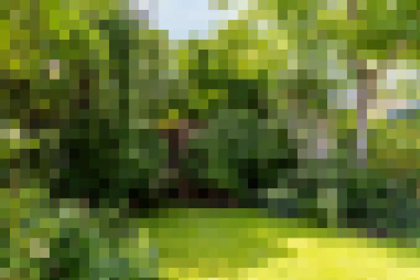 Bloemveldlaan 18 Haarlem thumbnail 18