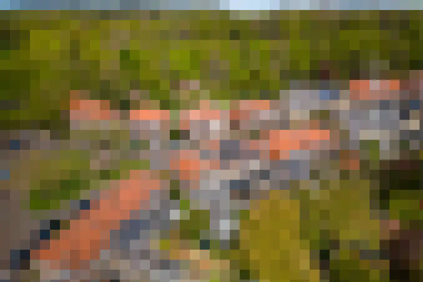 Bloemveldlaan 18 Haarlem thumbnail 37
