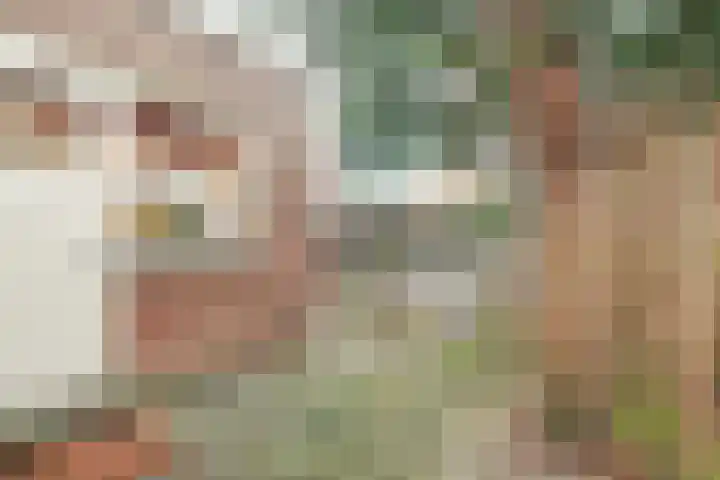 Bloemveldlaan 2 Haarlem thumbnail 16