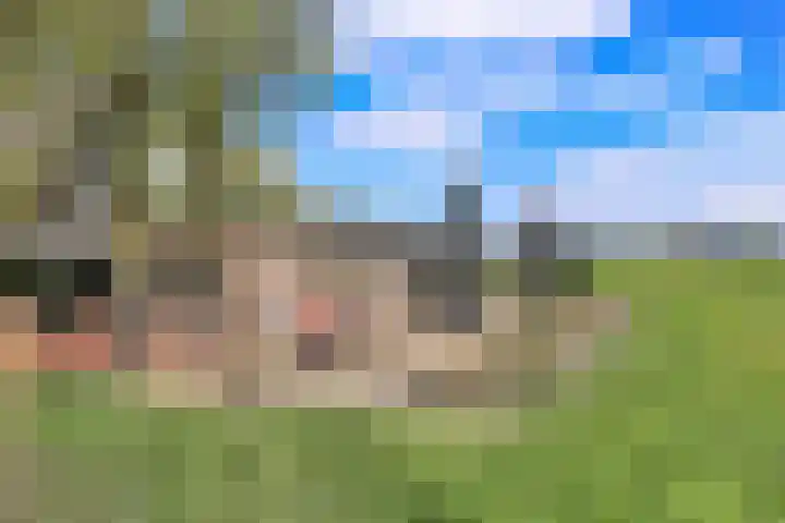 Bloemveldlaan 2 Haarlem thumbnail 41
