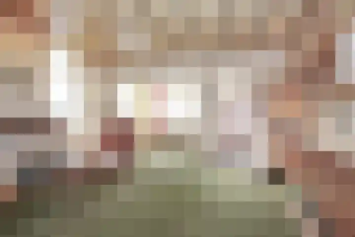 Bloemveldlaan 2 Haarlem thumbnail 5
