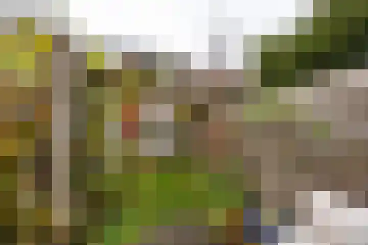 Bloemveldlaan 4 Haarlem thumbnail 15