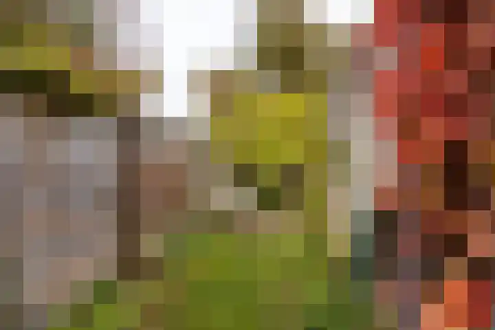 Bloemveldlaan 4 Haarlem thumbnail 16
