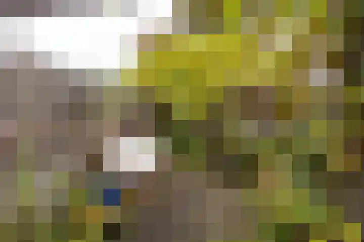 Bloemveldlaan 4 Haarlem thumbnail 17