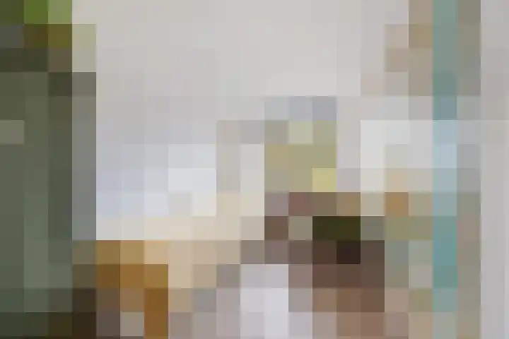 Bloemveldlaan 4 Haarlem thumbnail 21
