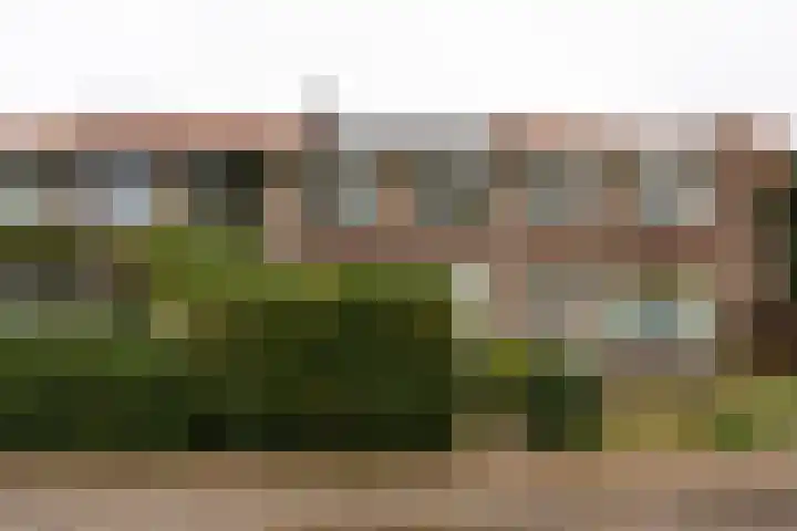 Bloemveldlaan 4 Haarlem thumbnail 27
