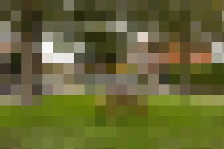Bloemveldlaan 4 Haarlem thumbnail 28