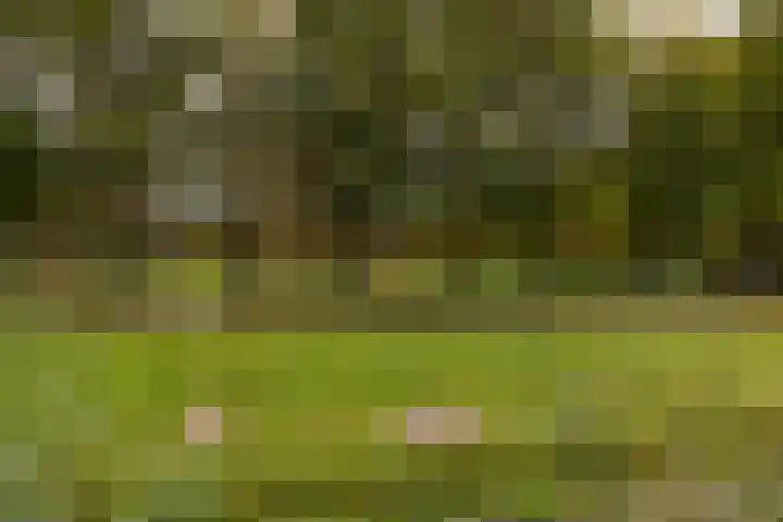Bloemveldlaan 4 Haarlem thumbnail 29