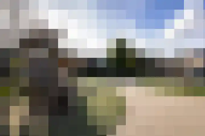 Bloemveldlaan 4 Haarlem thumbnail 36