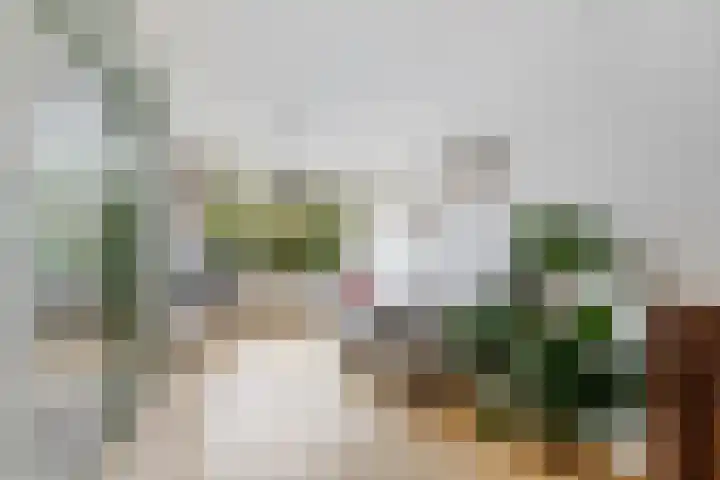 Bloemveldlaan 4 Haarlem thumbnail 4