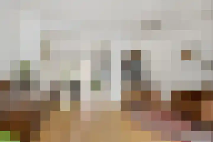 Bloemveldlaan 4 Haarlem thumbnail 5