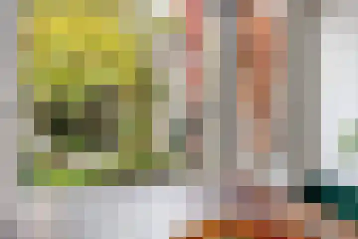 Bloemveldlaan 4 Haarlem thumbnail 8