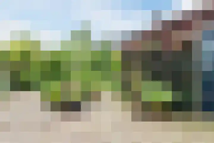 Bloemveldlaan 44 Haarlem thumbnail 31