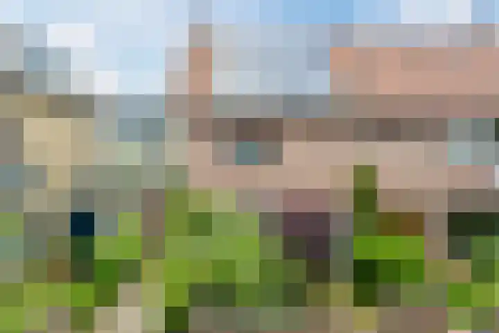 Bloemveldlaan 44 Haarlem thumbnail 36