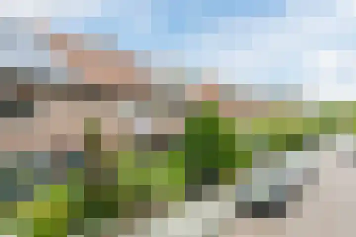Bloemveldlaan 44 Haarlem thumbnail 37