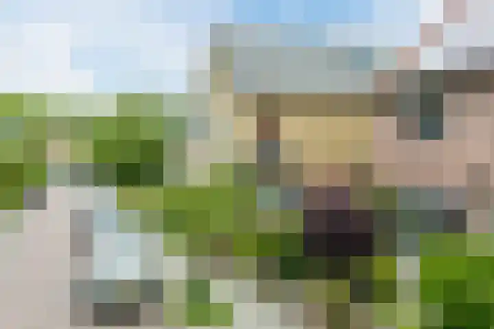 Bloemveldlaan 44 Haarlem thumbnail 38