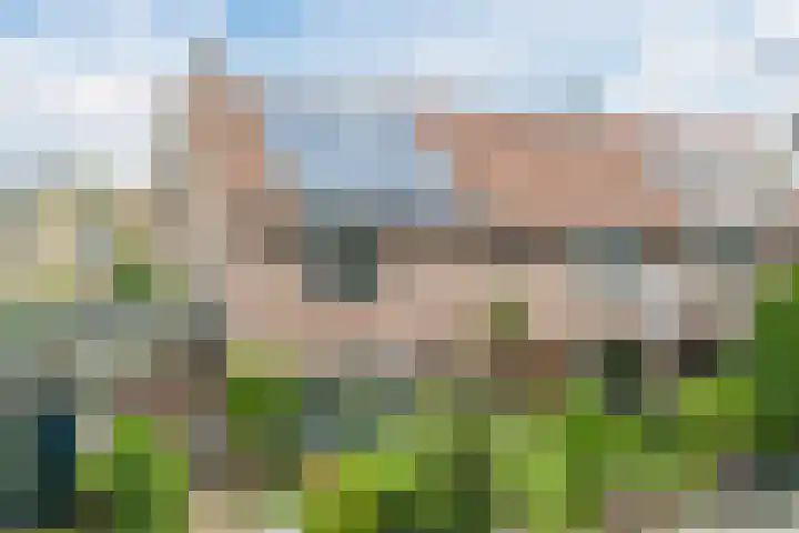 Bloemveldlaan 44 Haarlem thumbnail 43