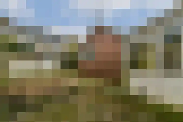 Bloemveldlaan 48 Haarlem thumbnail 10