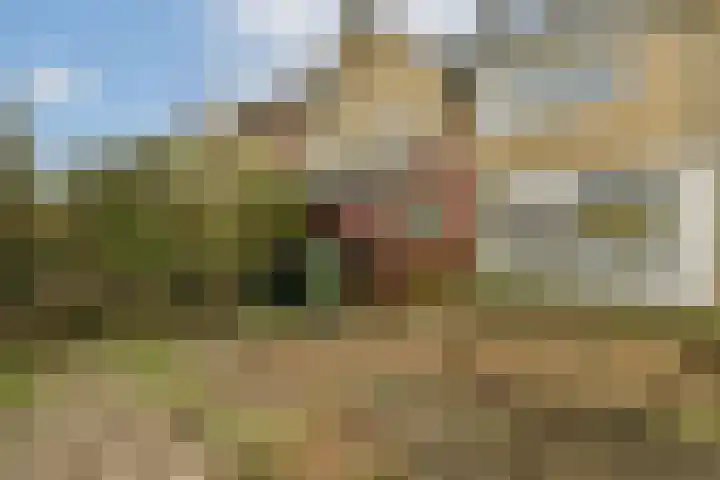 Bloemveldlaan 48 Haarlem thumbnail 11