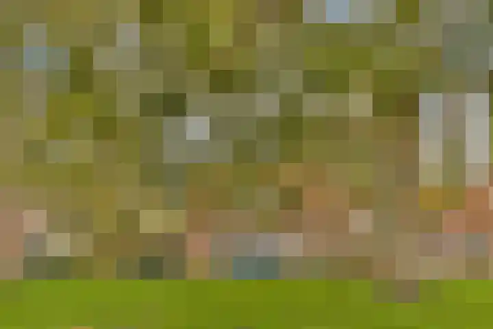 Bloemveldlaan 48 Haarlem thumbnail 20