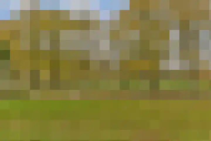 Bloemveldlaan 48 Haarlem thumbnail 21
