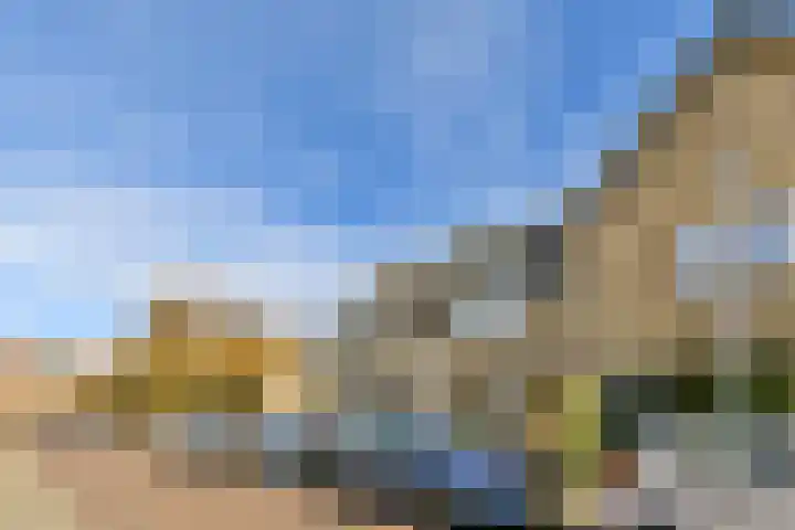 Bloemveldlaan 48 Haarlem thumbnail 4