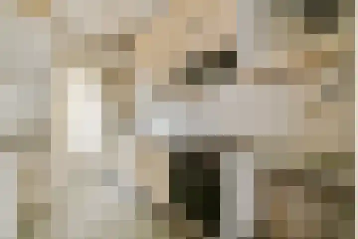 Bloemveldlaan 48 Haarlem thumbnail 8