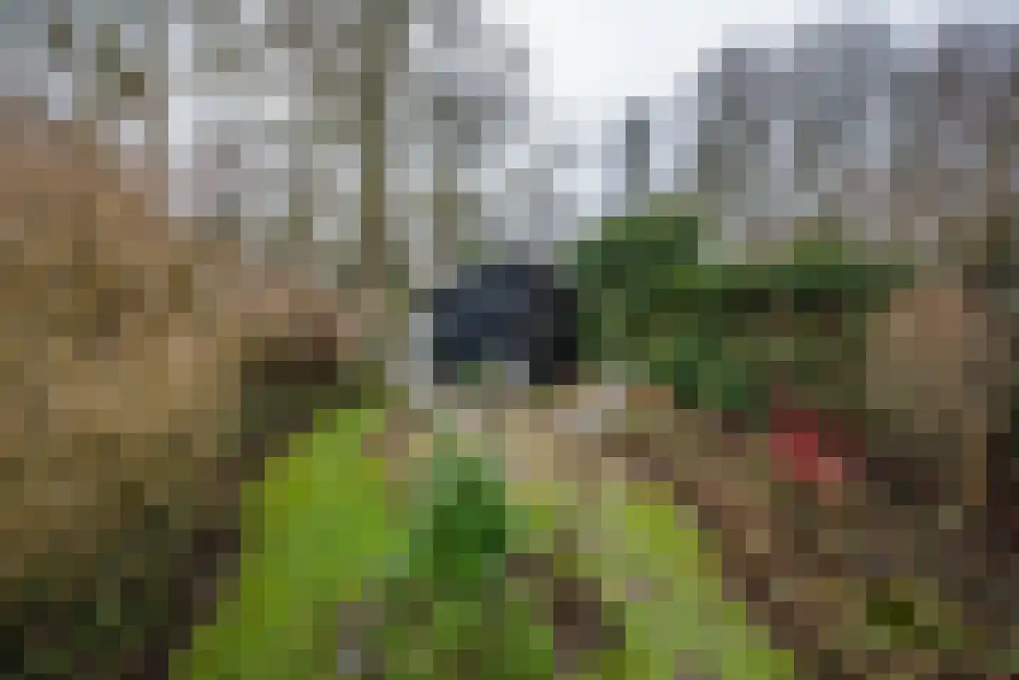 Bloemveldlaan 59 Haarlem thumbnail 21