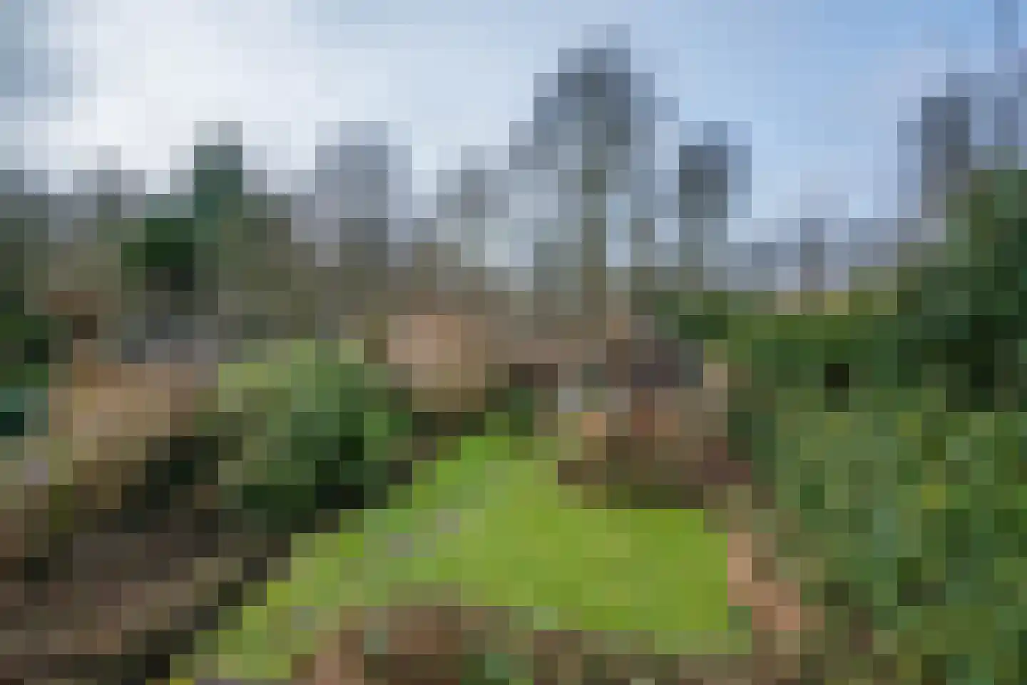 Bloemveldlaan 59 Haarlem thumbnail 23