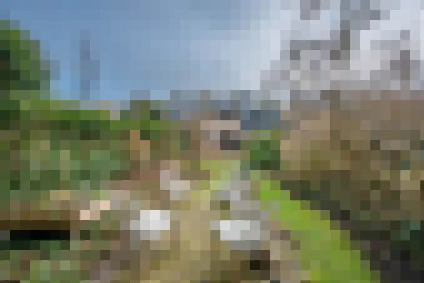 Bloemveldlaan 59 Haarlem thumbnail 27