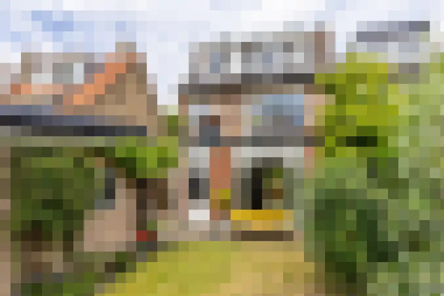 Bloemveldlaan 76 Haarlem thumbnail 12