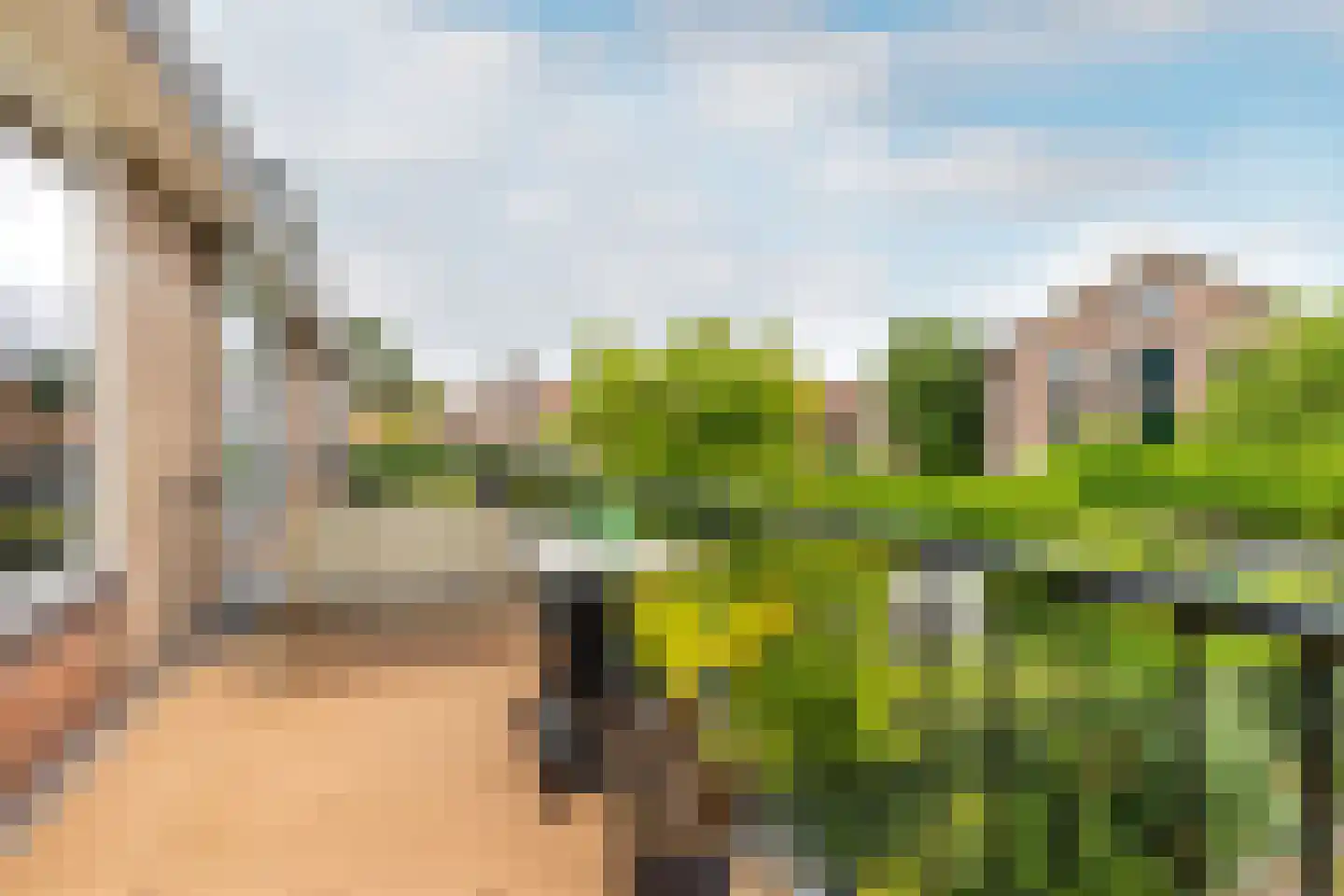 Bloemveldlaan 76 Haarlem thumbnail 18
