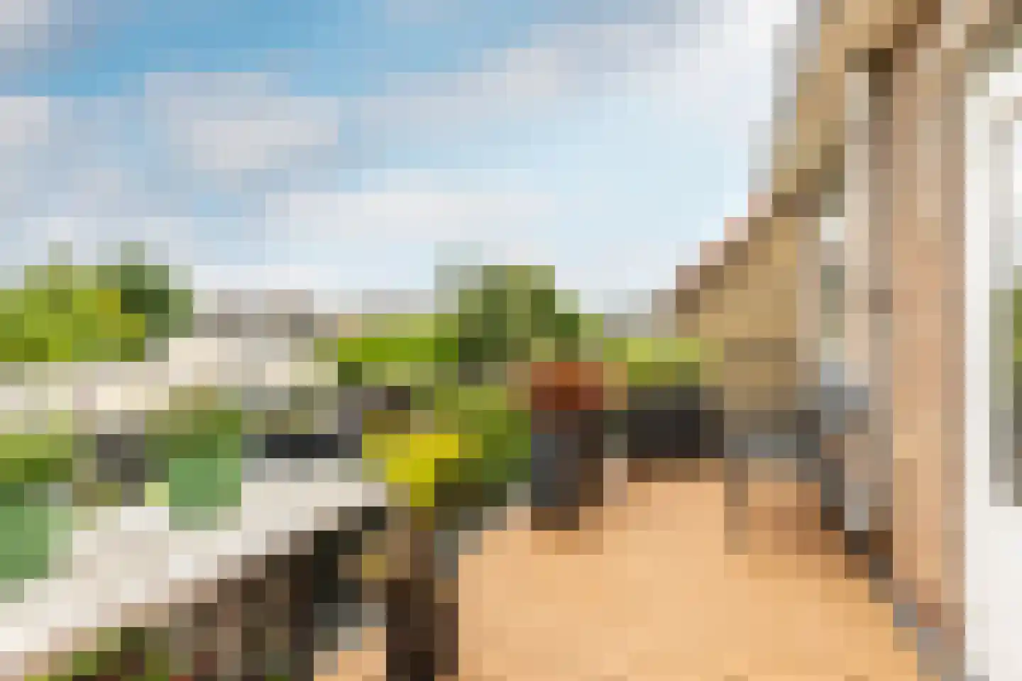Bloemveldlaan 76 Haarlem thumbnail 19