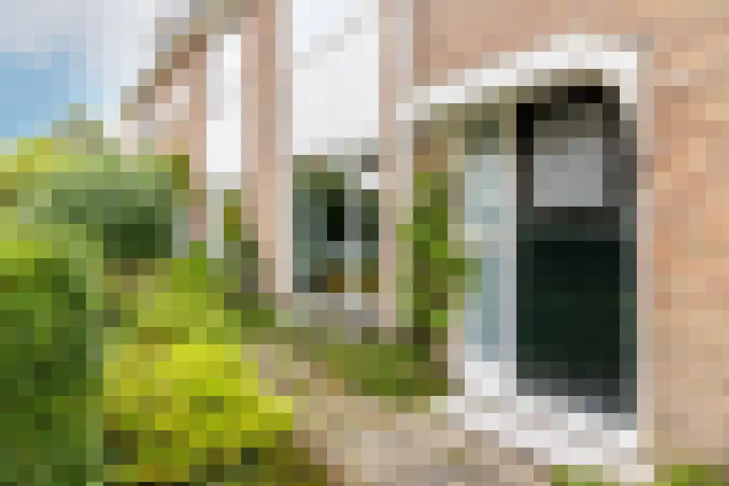 Bloemveldlaan 76 Haarlem thumbnail 5