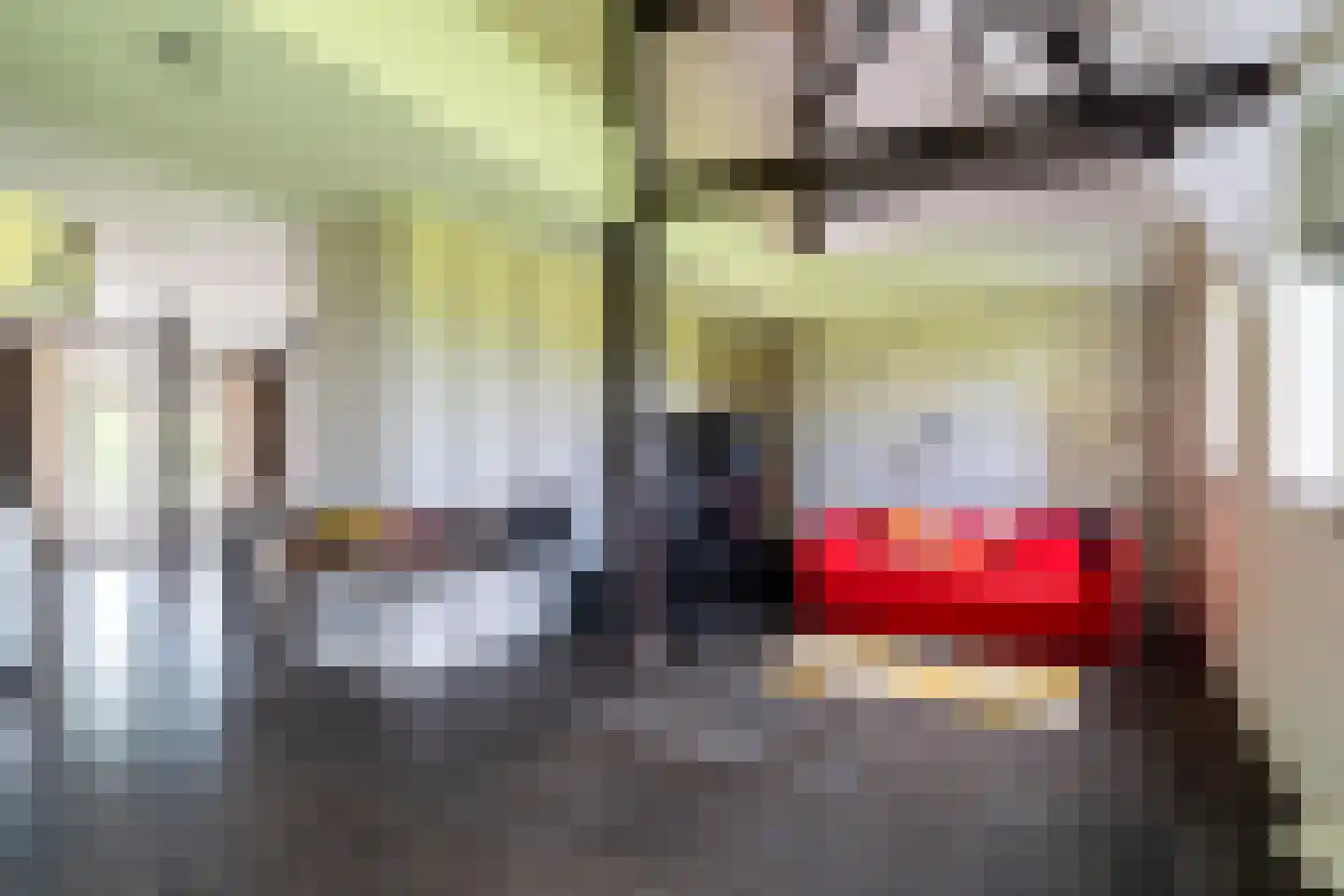 Bloemweg 4 Almkerk thumbnail 14