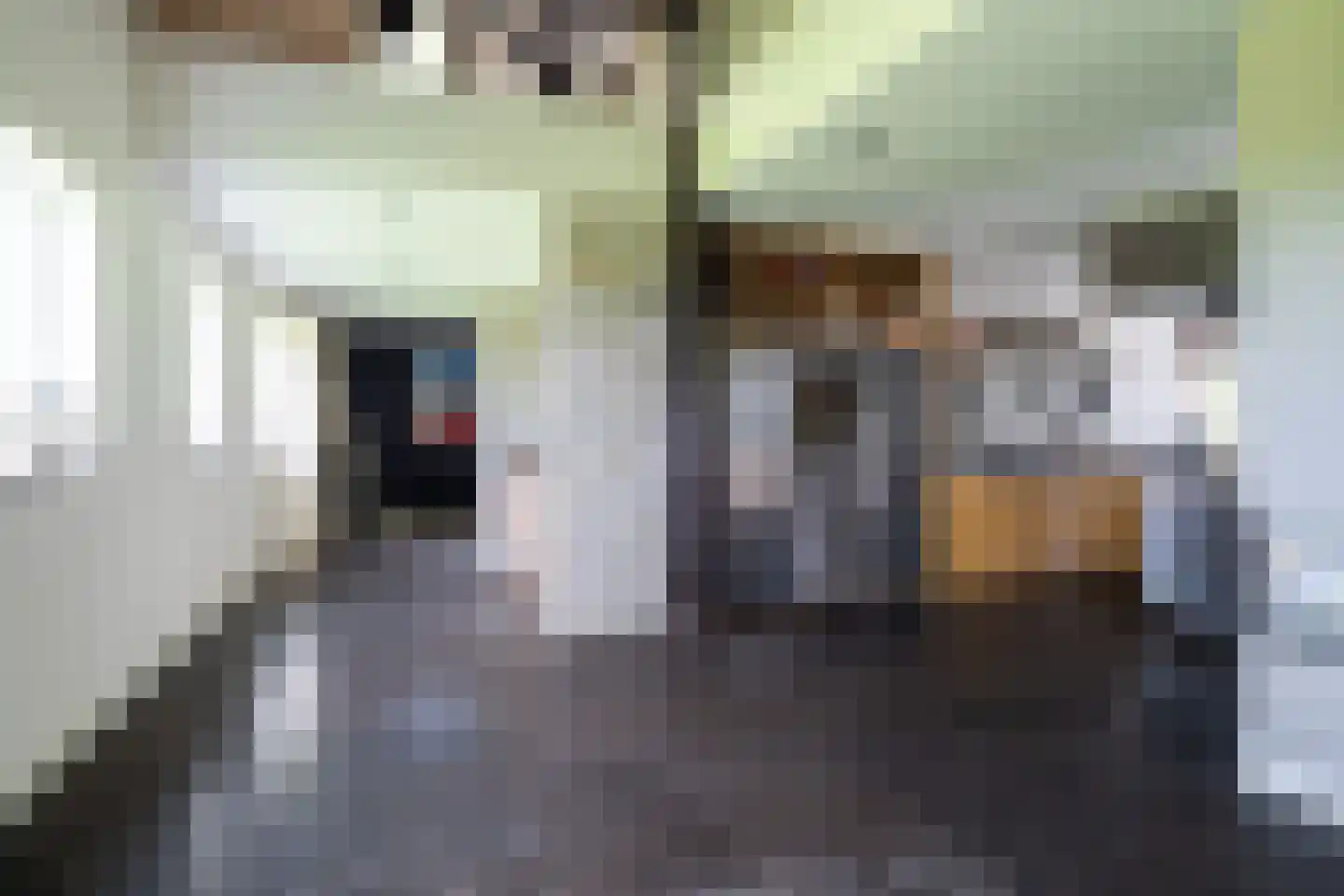 Bloemweg 4 Almkerk thumbnail 15