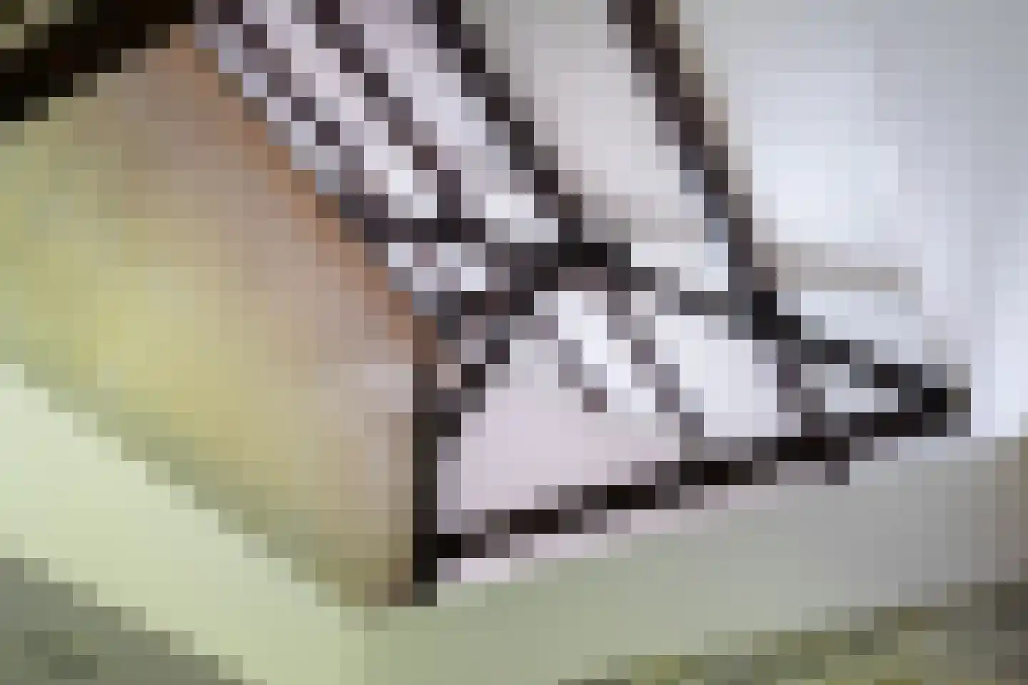 Bloemweg 4 Almkerk thumbnail 16