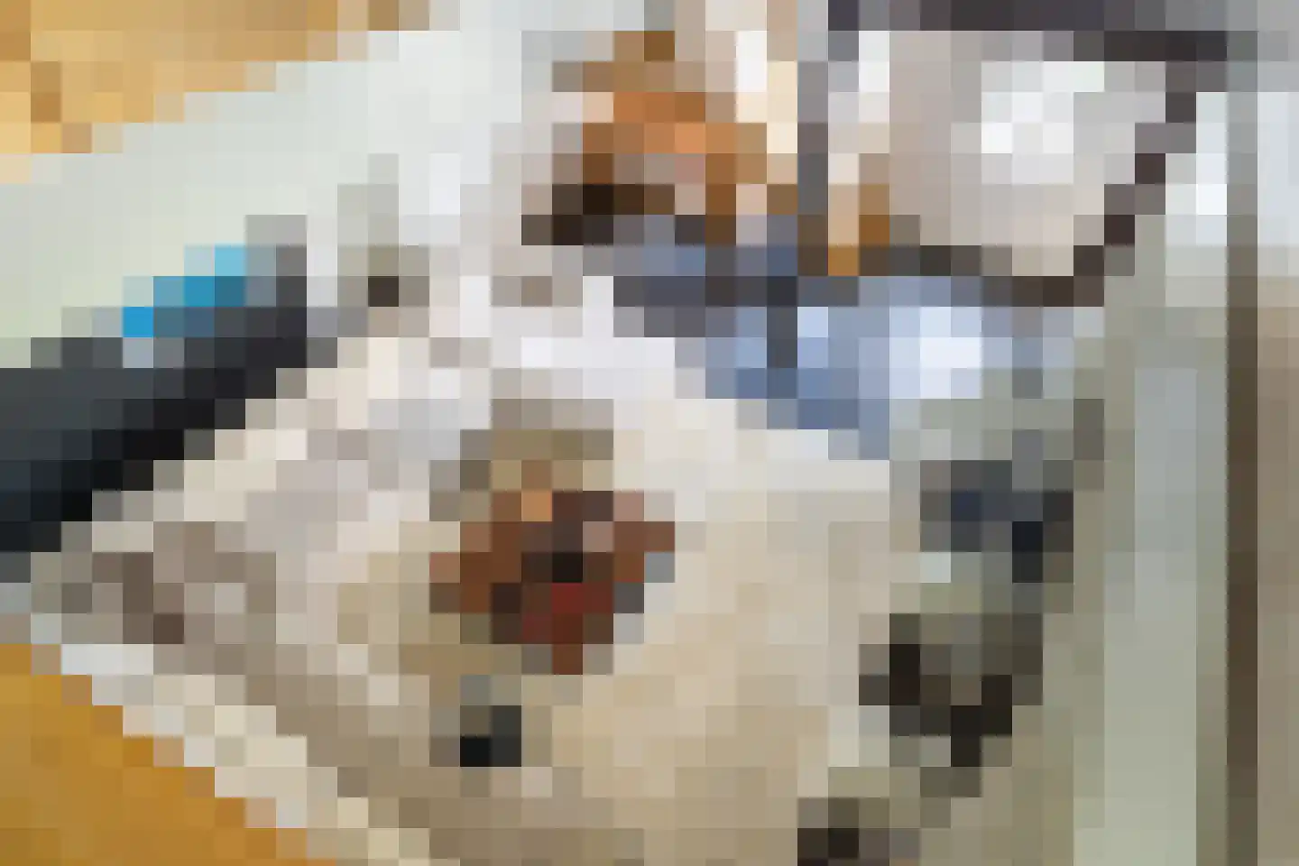 Bloemweg 4 Almkerk thumbnail 18