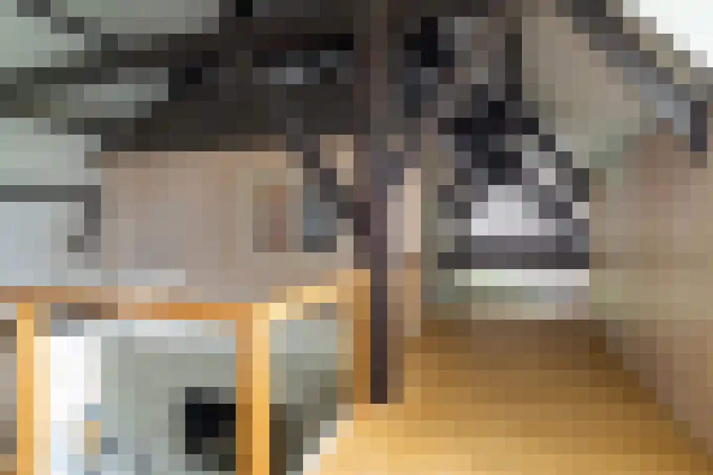 Bloemweg 4 Almkerk thumbnail 21