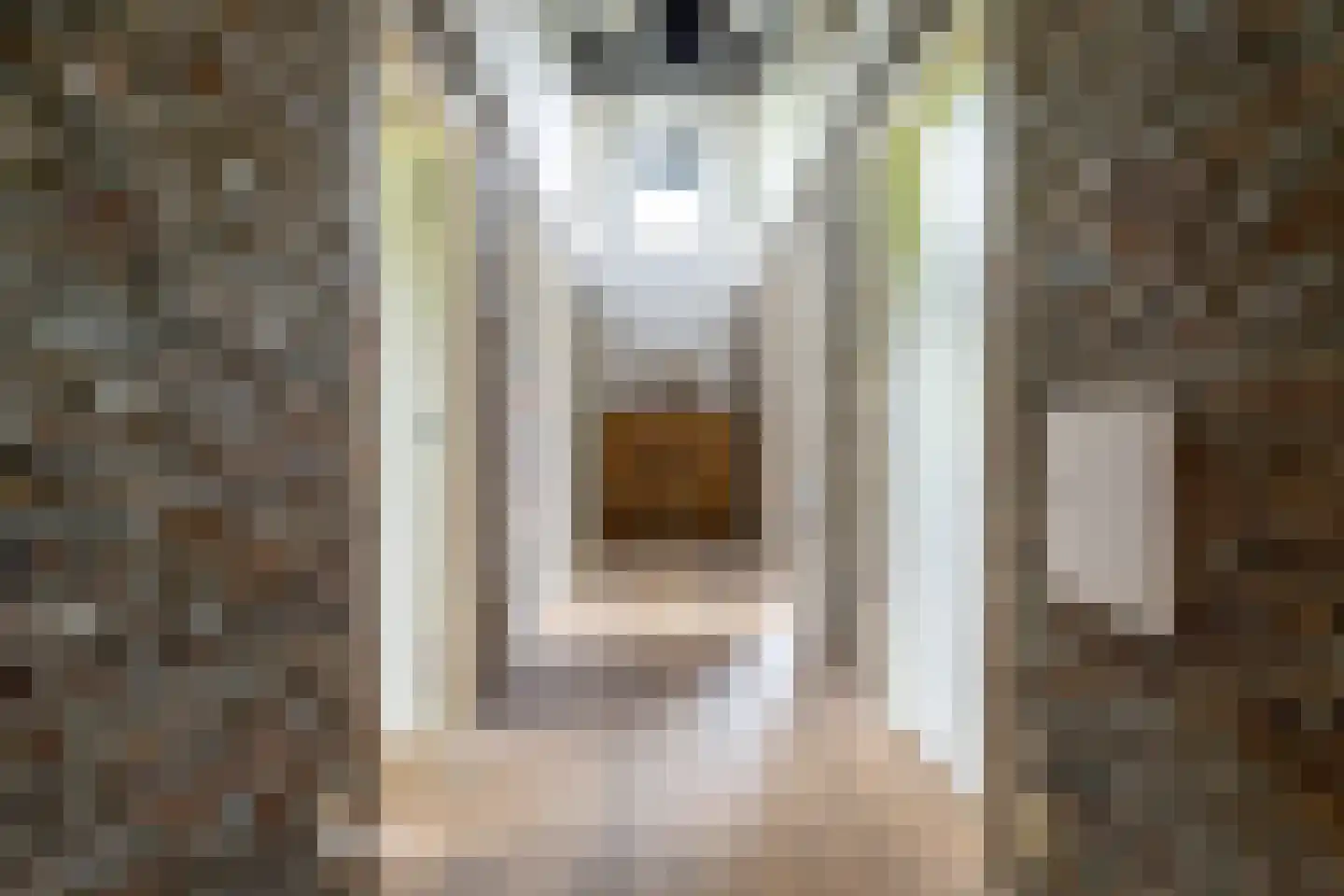 Bloemweg 4 Almkerk thumbnail 29