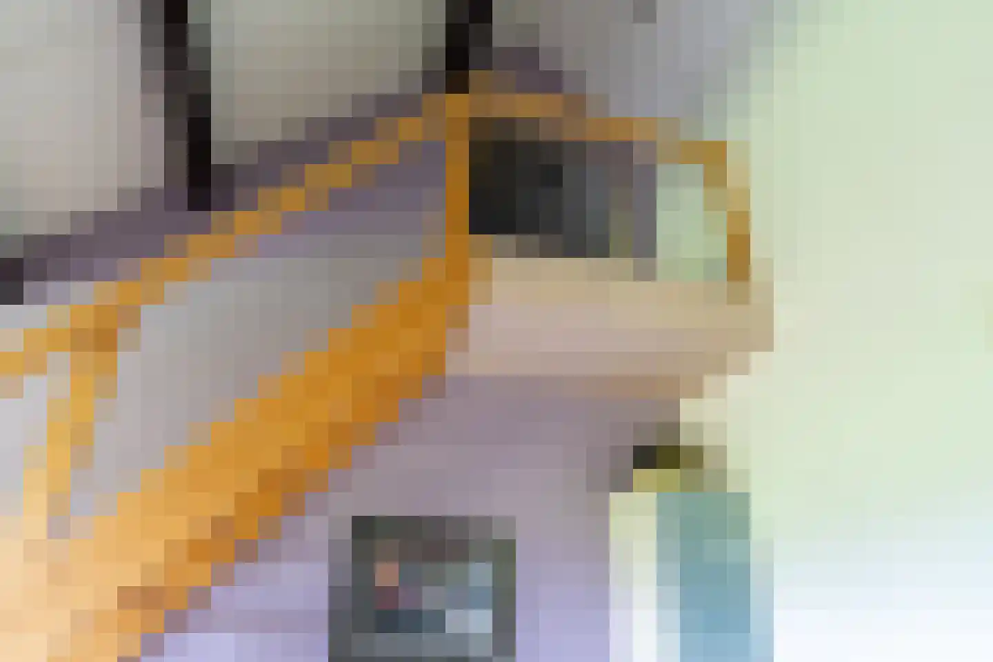 Bloemweg 4 Almkerk thumbnail 32